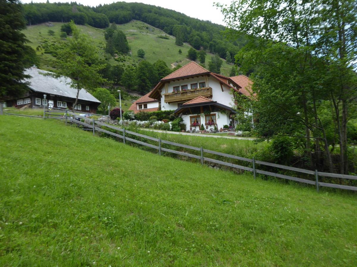Apartment In Brandenberg With Terrace Todtnau Buitenkant foto