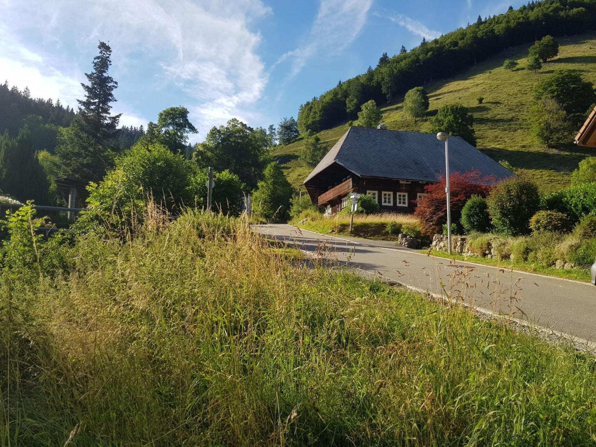 Apartment In Brandenberg With Terrace Todtnau Buitenkant foto